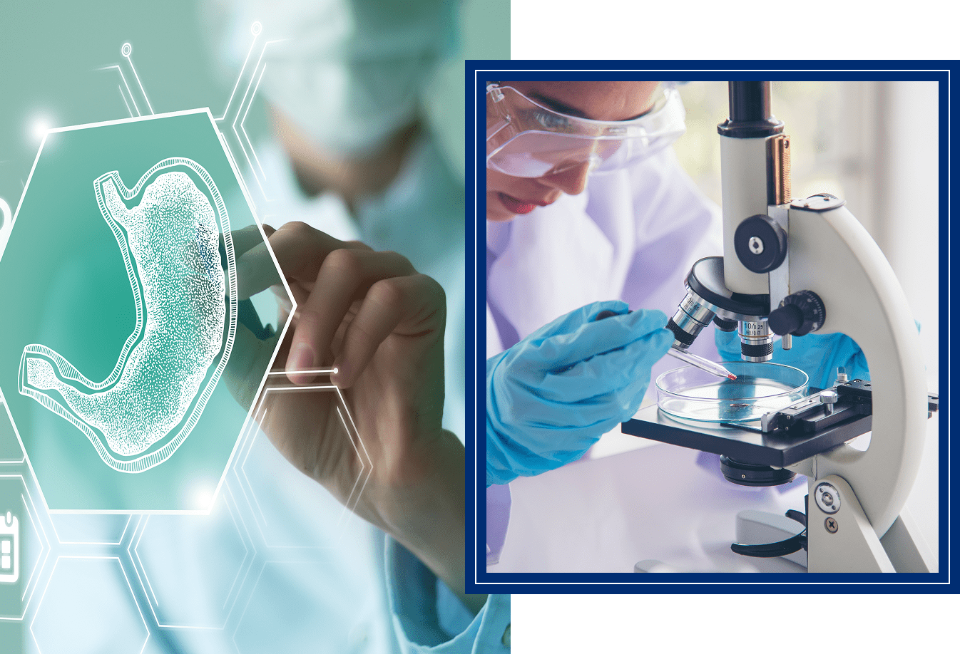 Group 1321317544 Researcher examining stomach diagram and microscope.