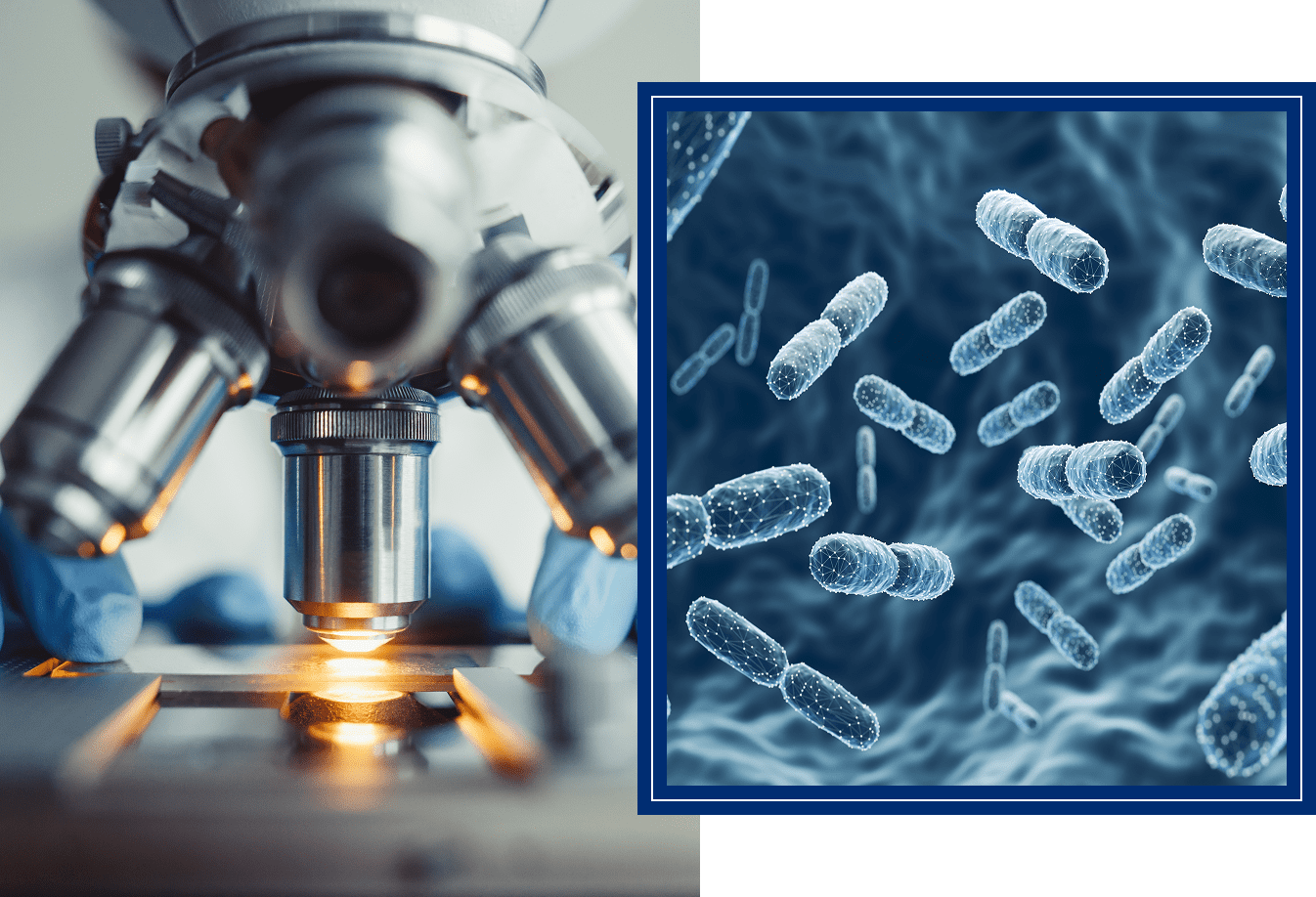 Group 1321317545 Microscope examining bacteria under blue tint.